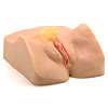 Janine Lindemulder's Vibrating Realistic Vagina