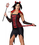 Adult Costume