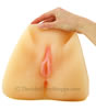 Big Ass Pussy