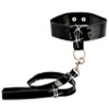 Leash and Collar