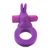Erotic Bunny Ring Purple